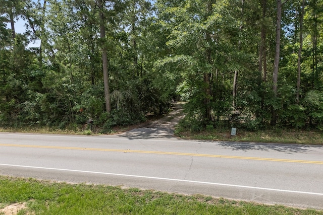 11402 Willis Waukegan Rd, Conroe, TX 77303 - view of asphalt street