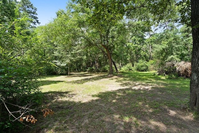 11402 Willis Waukegan Rd, Conroe, TX 77303 - view of grassy yard featuring a forest view