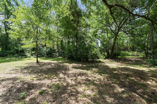 11402 Willis Waukegan Rd, Conroe, TX 77303 - view of yard with a forest view