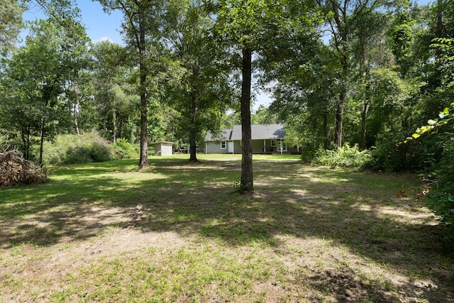 11402 Willis Waukegan Rd, Conroe, TX 77303 - view of grassy yard