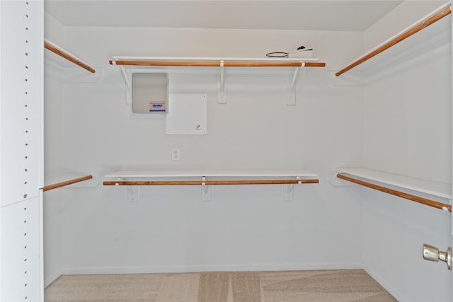 19126 Edens Dawn Dr, Tomball, TX 77375 - spacious closet featuring light colored carpet