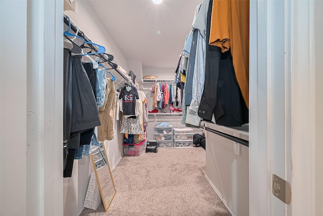 21018 Whitehaven Bluff Trl, Katy, TX 77449 - walk in closet with carpet flooring