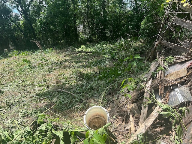 611 Danover St, Katy, TX 77494 - view of nature