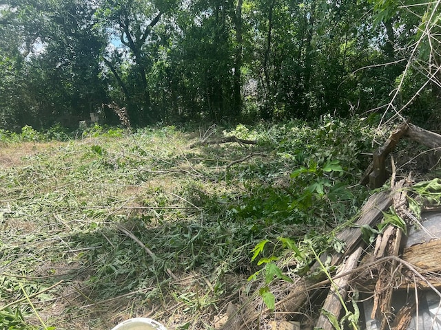 611 Danover St, Katy, TX 77494 - view of local wilderness