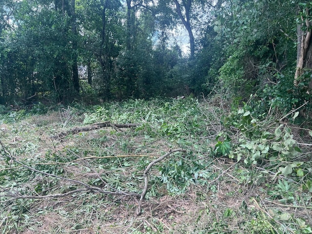 611 Danover St, Katy, TX 77494 - view of nature