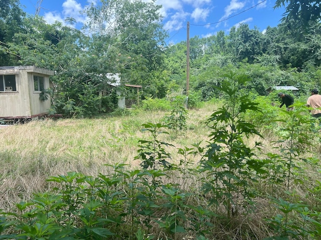 611 Danover St, Katy, TX 77494 - view of yard