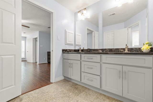 15119 Plaza Libre Dr, Houston, TX 77083 - bathroom featuring double vanity, baseboards, wood finished floors, and a textured ceiling