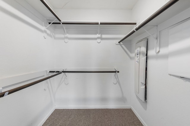 5021 Lehman Oaks Dr, Houston, TX 77018 - walk in closet featuring carpet floors
