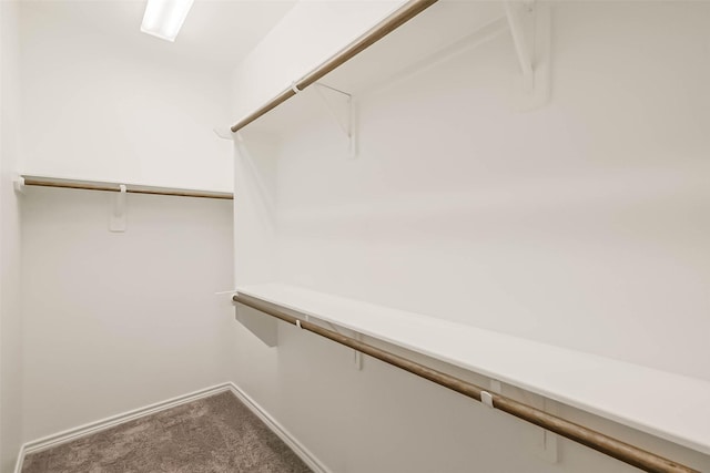 11514 Harmony Summit Trce, Richmond, TX 77406 - spacious closet featuring carpet flooring