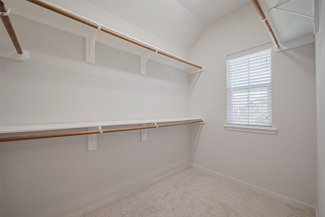 24523 Carlton Springs Ln, Katy, TX 77494 - walk in closet with carpet floors