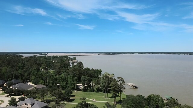 19103 Olympic Cir, Houston, TX 77346 - photo 3