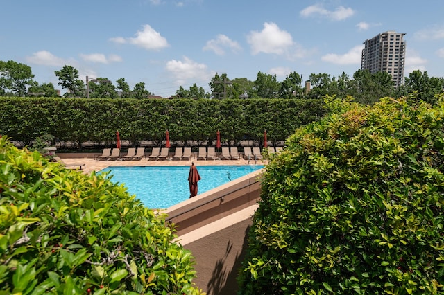5100 San Felipe St Unit 98, Houston, TX 77056 - community pool featuring a patio