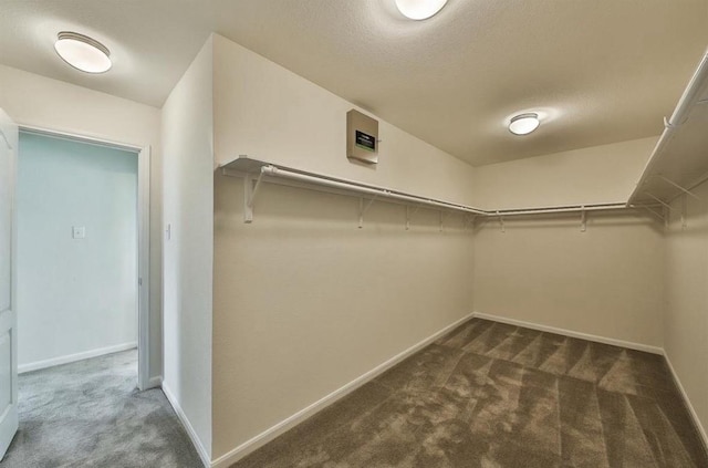 28430 Buffalo Fork Ln, Katy, TX 77494 - spacious closet with dark colored carpet