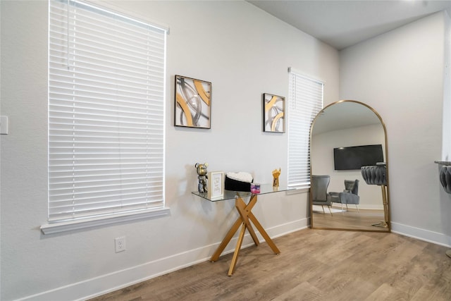 4426 Ibiza Ln, Houston, TX 77045 - interior space featuring wood finished floors and baseboards