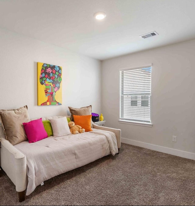 4426 Ibiza Ln, Houston, TX 77045 - bedroom with carpet floors and baseboards
