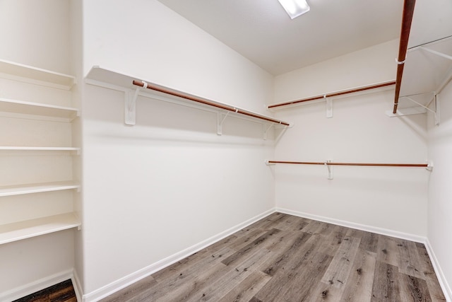 16906 Shoal Park Dr, Cypress, TX 77429 - walk in closet with wood finished floors