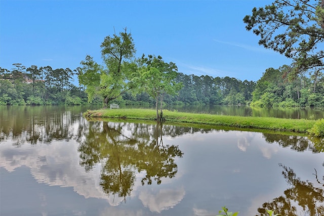 17612 White Perch Lake Dr, Conroe, TX 77384 - photo 18