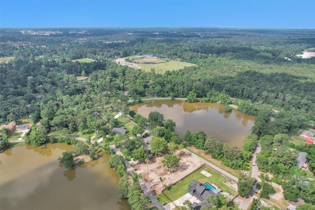 17612 White Perch Lake Dr, Conroe, TX 77384 - photo 19