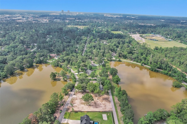 17612 White Perch Lake Dr, Conroe, TX 77384 - photo 3
