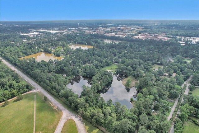 17612 White Perch Lake Dr, Conroe, TX 77384 - photo 31