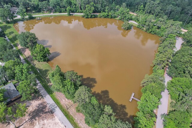 17612 White Perch Lake Dr, Conroe, TX 77384 - photo 21