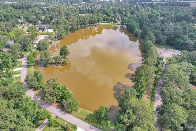 17612 White Perch Lake Dr, Conroe, TX 77384 - photo 22