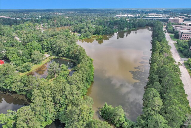 17612 White Perch Lake Dr, Conroe, TX 77384 - photo 23