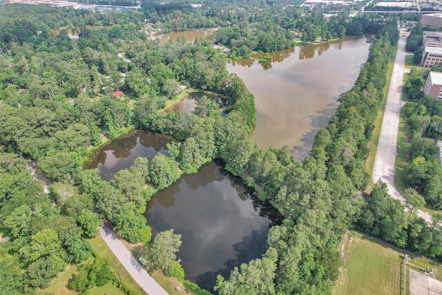 17612 White Perch Lake Dr, Conroe, TX 77384 - photo 25