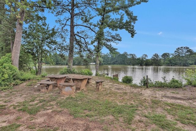 17612 White Perch Lake Dr, Conroe, TX 77384 - photo 15