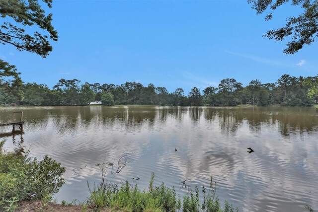 17612 White Perch Lake Dr, Conroe, TX 77384 - photo 16