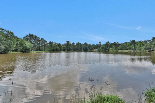 17612 White Perch Lake Dr, Conroe, TX 77384 - photo 17
