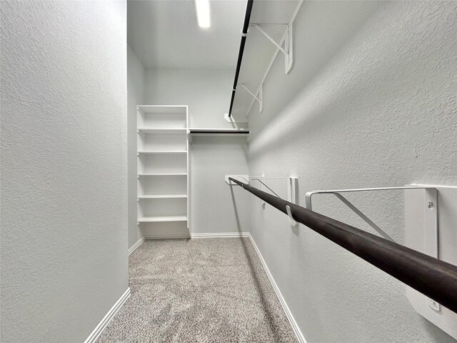 7 Riverwood Circle Ct, Angleton, TX 77515 - spacious closet featuring carpet