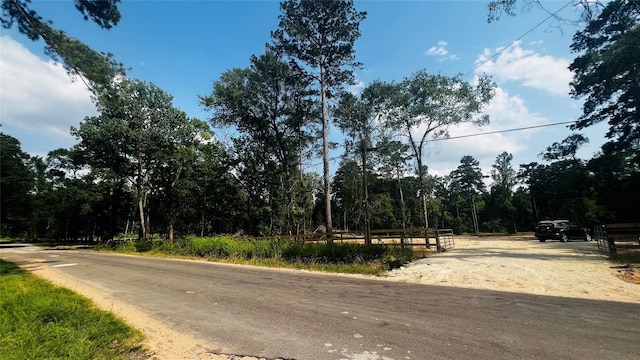 1655 Clark Rd, Waller, TX 77363 - photo 3