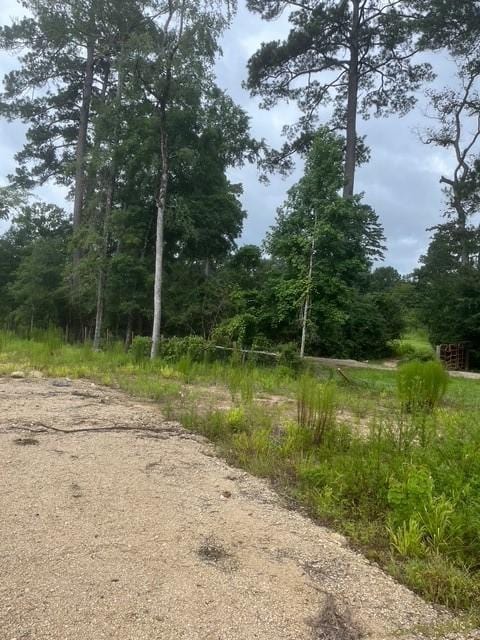 1655 Clark Rd, Waller, TX 77363 - photo 5