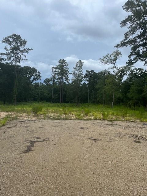 1655 Clark Rd, Waller, TX 77363 - photo 6