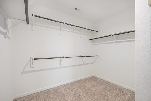 607 Harvest Bluff Dr, Rosharon, TX 77583 - walk in closet featuring carpet