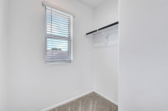 24027 Wandering Brook Dr, Hockley, TX 77447 - spacious closet featuring carpet flooring