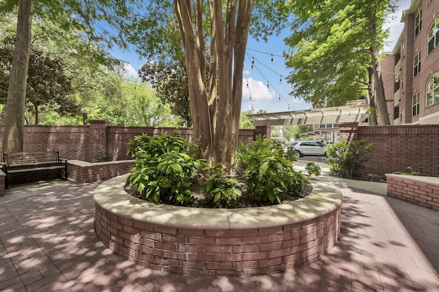 2100 Welch St Unit C309, Houston, TX 77019 - view of home's community featuring a patio