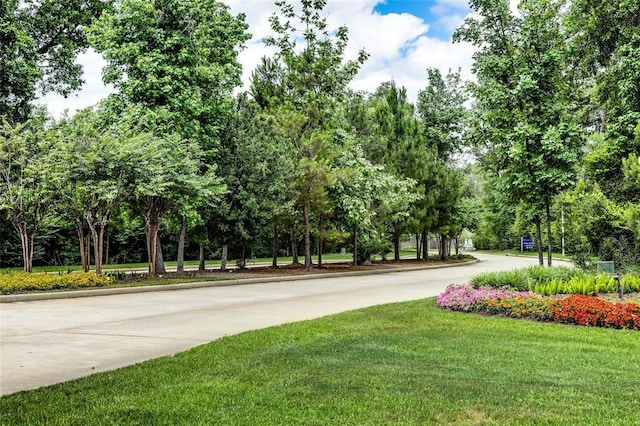 3074 Mallorca Dr, Conroe, TX 77301 - surrounding community featuring a yard, driveway, and view of scattered trees