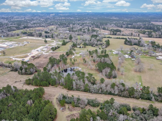 466 Emanuel Rd, Goodrich, TX 77335 - aerial view of property's location