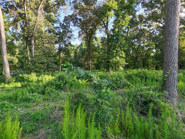 0 Mueschke Rd, Tomball, TX 77377 - photo 5