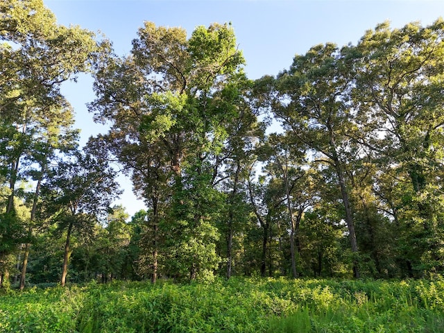 0 Mueschke Rd, Tomball, TX 77377 - photo 6