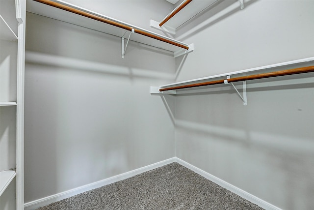 1406 Rustic Knolls Dr, Katy, TX 77450 - spacious closet with carpet flooring