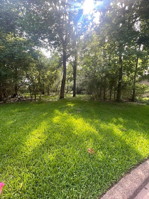 WALDEN10 Pebble Beach Cir, Montgomery, TX 77316