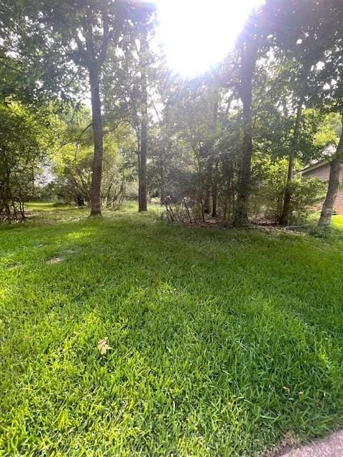 WALDEN10 Pebble Beach Cir, Montgomery, TX 77316