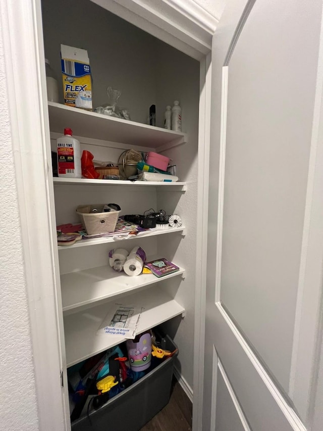 5227 Misty Iris Cir, Katy, TX 77449 - view of pantry