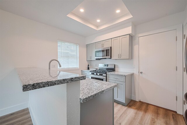 19803 Packwood Dr, Katy, TX 77449 - kitchen with stainless steel appliances, gray cabinets, light wood-style floors, a peninsula, and recessed lighting