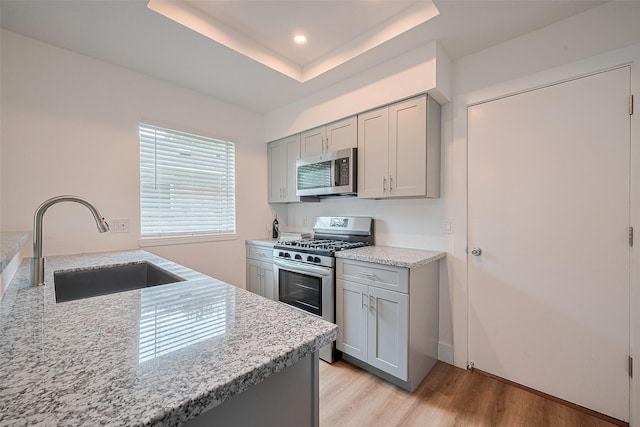 19803 Packwood Dr, Katy, TX 77449 - kitchen with appliances with stainless steel finishes, gray cabinetry, light wood-type flooring, a tray ceiling, and recessed lighting