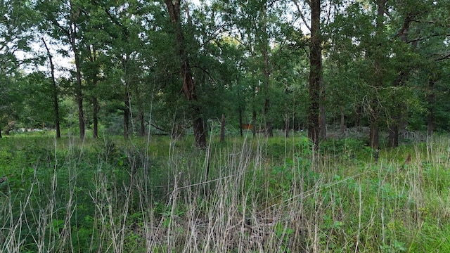 O Panther Ln, Livingston, TX 77351