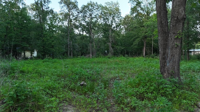 O Panther Ln, Livingston, TX 77351